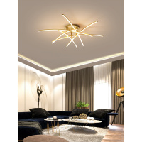 苏宁优购  客厅灯简约现代家用卧室灯个性艺术吸顶灯创意led北欧灯具小房间