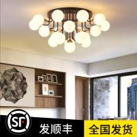 苏宁优购  现代简约大气客厅灯创意led吸顶灯北欧风格个性温馨卧室餐厅灯具