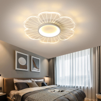 苏宁优购  现代简约北欧个性创意温馨浪漫轻奢家用客厅led灯具卧室灯吸顶灯
