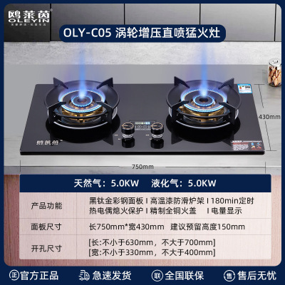 鸥莱茵(OLEYIN)C05定时灶(天然气)双环增压直喷猛火 一级能效 黑钛金彩钢面板 180分钟双边定时 (自行安装)