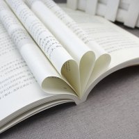 [88专区]正面管教 如何不惩罚不娇纵有效管教孩子 轻松易懂的家教心理学 正面管教 别让你的盲目教育毁了孩子 亲子家教教