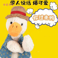  复读鸭玩具抖音加油同款沙毛绒学说话玩偶公仔娃娃生日