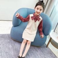 童装女童春装连衣裙新款儿童假两件套公主裙小女孩裙子春秋洋气潮