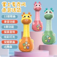 儿童牙胶话筒麦克风唱歌k歌音响3-6-9岁宝宝玩具女孩男早教故事机