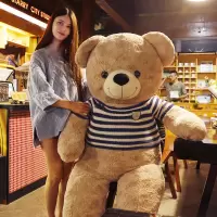 泰迪熊猫公仔女生日特大号超大抱抱熊毛绒玩具玩偶布娃娃大熊