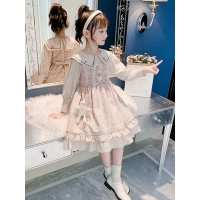 女童春装连衣裙新款儿童洋气春秋假两件小女孩春秋时髦学院风