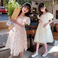 女童连衣裙夏装新款儿童洋气雪纺碎花裙泡泡袖公主裙