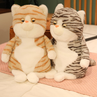 可爱懒猫公仔布娃娃毛绒玩具小猫咪玩偶丑萌可爱儿童陪伴女生