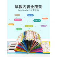 幼儿童有声挂图拼音学习早教识字点读发声书宝宝读物玩具