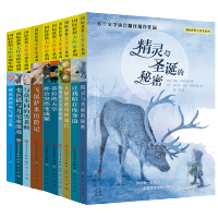新版国际获奖大作家系列全10册精灵与圣诞的秘密纽伯瑞金奖