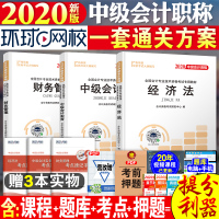 新版2020中级会计职称教材全套3本中会实务财务管理经济法考试历年真题题师搭奥轻一轻松过关1正版实务2019环球网校