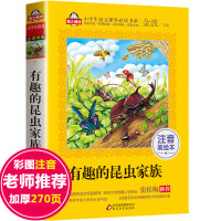 有趣的昆虫家族 金波主编爱上阅读注音美绘本一二三年级课外书必读小学生语文阅读课外读物正版6-8-10-12岁儿童昆虫图书