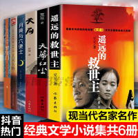 6本遥远的救世主+天幕红尘+天局+人间失格+罗生+月亮和六便士未删减版 原著豆豆小说天道第十届茅盾文学奖获奖作品当代文