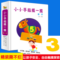 小小手指摸一摸 数字书中英双语0-3岁洞洞书 婴儿 早教认知 宝宝益智启蒙触摸书2-4-6周岁撕不烂机关书数学启蒙翻翻书