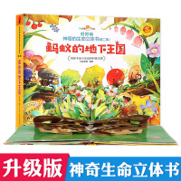 好好玩神奇生命立体书第二辑蚂蚁的地下王国 儿童3d立体翻翻书洞洞书籍0-2-3-6-10-12周岁幼儿绘本益智启蒙读物宝