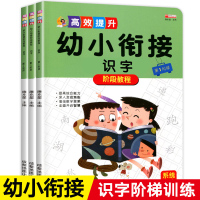 全套3册 幼小衔接阶梯教程幼儿阅读与识字认字教材启蒙 幼升小儿童学前看图识字书 幼儿园大班学前班早教书籍一年级语文看拼音