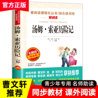 汤姆索亚历险记六年级下册课外书经典名著必读书目老师教师推荐五六年级正版 原著青少版马克吐温汤姆·索亚天地出版社小学版6年