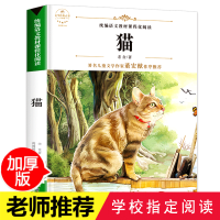 猫 老舍的书 正版中小学生课外阅读书籍8-9-12-15岁四五年级课外书必读老师推荐三至六年级青少年版儿童散文经典当代名