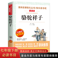骆驼祥子原著正版 老舍 初中生七年级必读 中小学生课外阅读书籍10-15岁青少年 老师推荐语文名著无障碍阅读 教辅书