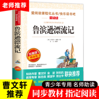 鲁滨逊漂流记 原著完整版 正版小学生六年级下册必读课外阅读书丹尼尔单本快乐读书吧 青少年版 天地出版社人教版鲁滨孙漂流记