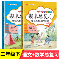 汉之简期末总复习二年级下册语文数学全套人教版部编版冲刺100分小学生2年级下学期试卷同步训练测试卷专项练习册课堂笔记复习
