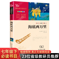 海底两万里正版书 原著小学版 正版精美带有彩色插图 青少年版无障碍阅读版 名师导读 凡尔纳名著 小学初中学生课外阅读书籍
