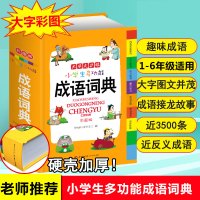 新编成语词典 正版中小学生成语大全 成语字典大全 2019版彩色本 常用成语中华成语小词典 词语字典 多功能新华字典四字