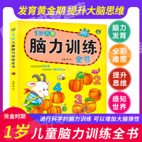 儿童专注力脑力训练游戏丛书1-2岁宝宝全脑开发大书逻辑题思维训练书籍 幼儿益智力开发0到3岁学前思维记忆能力开发书籍 河