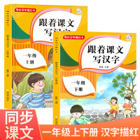 跟着课文写汉字 一年级下册字帖 练字帖 天天练上册下学期课本同步练习册人教版全2册 小学语文看拼音写词语专项训练写字生字