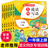 一年级上册同步训练全套6册 小学生语文看图说话写话阅读理解看拼音写词语专项训练人教部编版必背备古诗词75首暑假练习册字帖