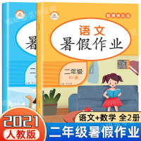 暑假阅读二升三衔接小学语文数学暑假作业人教版 二年级下册期末总复习试卷考试必刷卷2升3上学习资料同步专项训练练习册53天