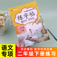 二年级下册字帖练字本语文同步训练练字帖天天练部编人教版 小学生2年级下语文课文生字抄写本课堂练习练习册生字描红本写字本练