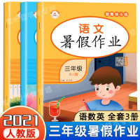 三年级下册暑假作业 暑假阅读三升四4语文数学英语期末总复习资料人教版衔接教材 小学生3下学期课堂同步练习与测试必刷题赢在