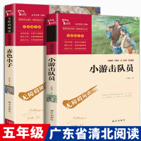 2册 广东省清北阅读五年级必读课外书小游击队员赤色小子老师推荐小学生阅读的书籍革命红色经典文化书儿童爱国主义教育读本王愿