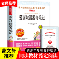 爱丽丝漫游奇境记正版书 三四五六年级必读课外名著书籍 儿童读物中小学生青少年课外阅读书籍无障碍经典仙境 天地出版社