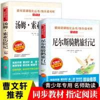 尼尔斯骑鹅旅行记六年级正版下册必读课外书 汤姆索亚历险记 完整版原著原版青少年版马克吐温快乐读书吧小学生6年级课外阅读书