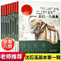 沈石溪动物小说全集书籍正版套装书大全 三年级课外书必读老师推荐小学生四五年级阅读经典书目 最后一头战象斑羚飞渡第七条猎犬