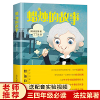 蜡烛的故事三年级课外书必读 英法拉第著 适合小学生看的科学知识书籍老师推荐无障碍阅读青少年文学经典书目四 小学儿童科普读