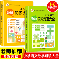 小学知识大盘点全2册 小学语文知识锦集小升初总复习数学公式定律手册汇总大全人教版一二三四五六年级升学夺冠大集结思维专项训