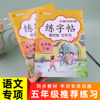 汉之简 2020新版五年级上册下册练字帖语文书生字课本同步字帖教材部编人教版练字小学生5年级上下册学期人教正楷字钢笔写字