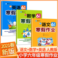 2021新版 六年级寒假作业语文数学英语全套3本 人教版小学假期衔接复习教材6年级同步练习册小学生思维训练书专项强化复习