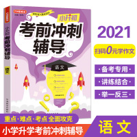 2021年小升初考前冲刺辅导·语文方洲新概念实战训练真题模拟试卷考进名校初中小学毕业升学考试冲刺辅导试卷精选试卷小考备考