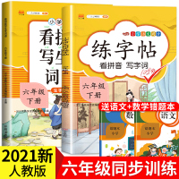 六年级下册字帖练字 看拼音写词语生字注音部编人教版小学生6学期语文课本同步训练硬笔书法练字帖楷书练字本控笔写字贴天天练人