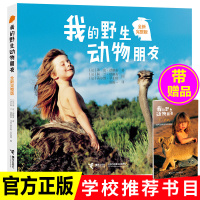 我的野生动物朋友正版一二三四五年级课外书必读小学生云南南海老师推荐阅读接力出版社非注音儿童百科全书科普书籍童书