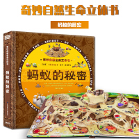奇妙自然生命立体书儿童3d立体书蚂蚁的秘密感悟生命的故事绘本教育儿童好好玩神奇系列奇趣机关抽拉翻翻3-4-5-6岁书本启