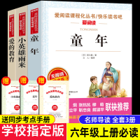 全套3册爱的教育小英雄雨来管桦童年书高尔基正版原著完整版小学生六年级上册必读课外阅读书籍人教版快乐读书吧三四年级下册推荐