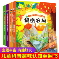 全套4册揭秘交通揭秘游乐场揭秘农场揭秘职业0-3-6岁儿童趣味科普翻翻书1-2岁宝宝撕不烂早教认知书机关洞洞书儿童3d立