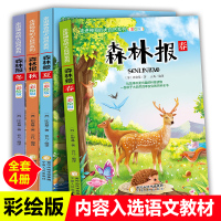 全套4册比安基森林报春夏秋冬全四册彩绘版小学生三四年级下册课外阅读书籍老师推荐必读8-12岁儿童读物大自然四季科普绘本故
