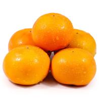 脆柿1000g(外加盟)