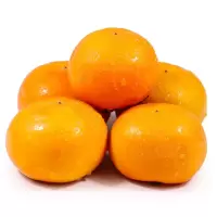 脆柿1000g(外加盟)